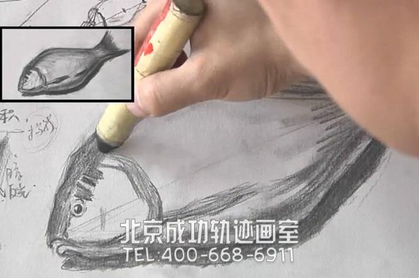 魚(yú)素描畫(huà)教程