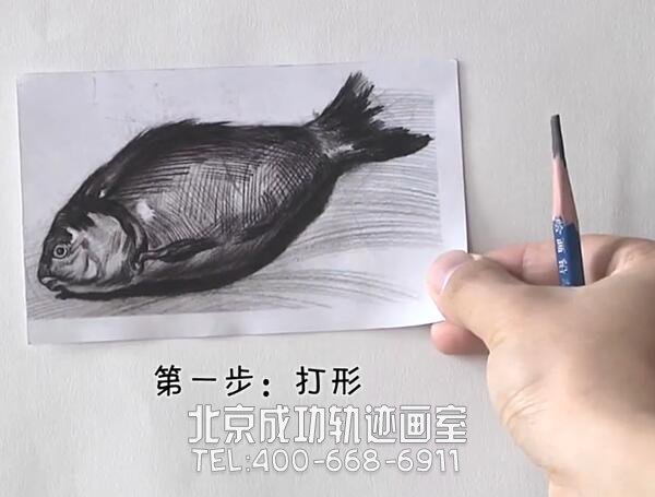 素描怎么畫(huà)魚(yú)