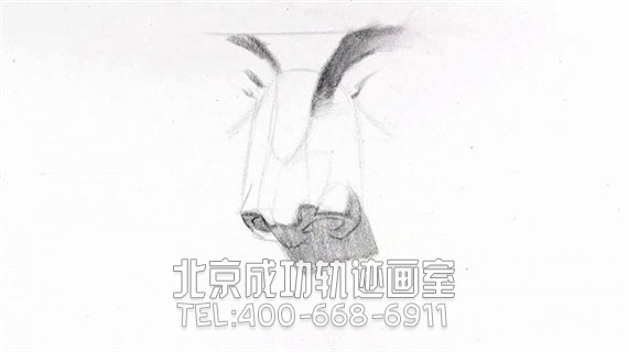 素描鼻子畫(huà)法步驟圖片教程