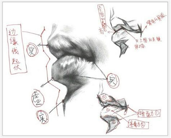 素描入門：素描嘴巴精講教程